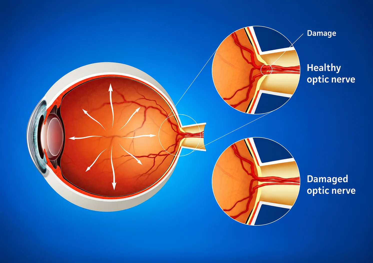 Close up of human eye